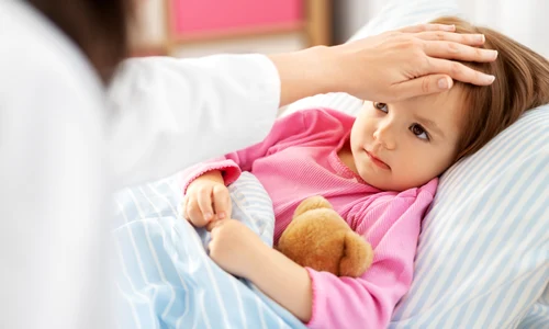 shutterstock 1779704813 (1) jpg