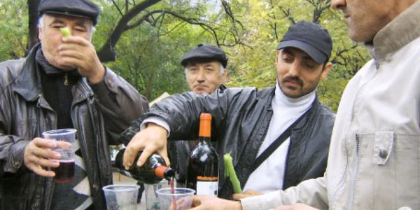 Zaibărul şi prazul  au avut mare căutare ieri, la a treia ediţie a festivalului Foto: Laura Pumnea