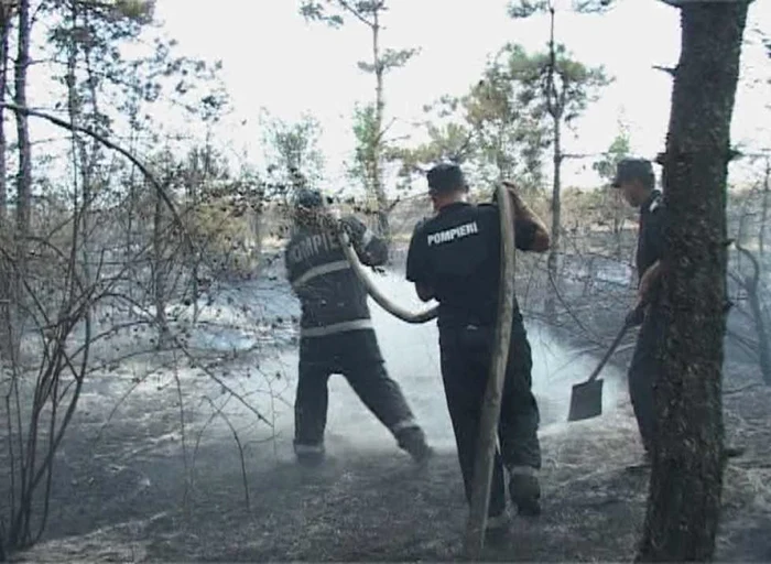 incendiu padure
