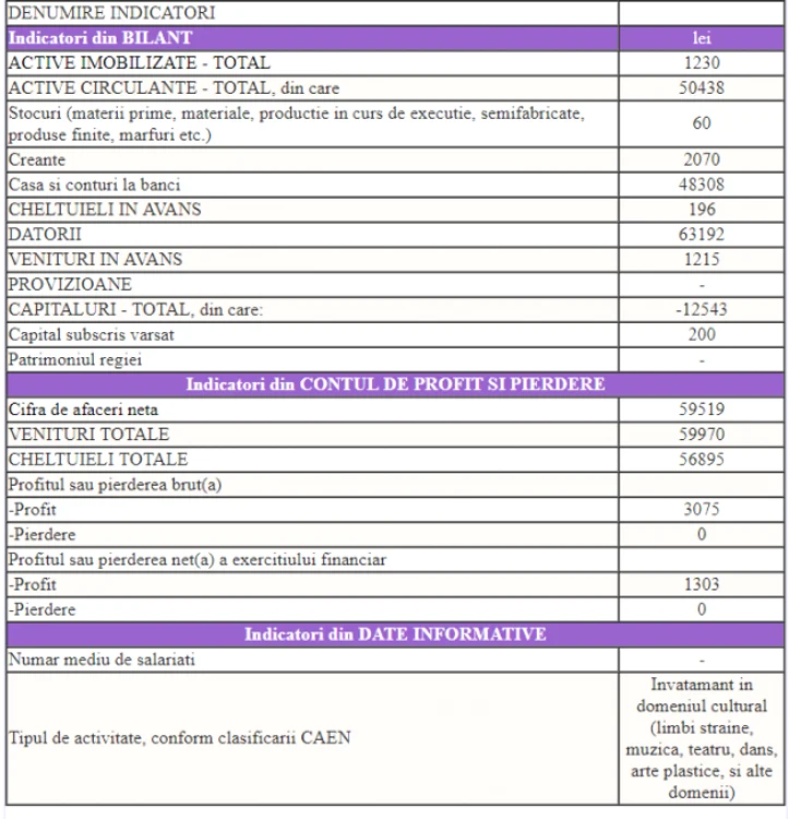 afaceri sotie ciolos 2017