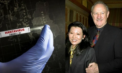 Ce este Hantavirusul, infectia care a ucis o pe sotia lui Gene Hackman, foto Shutterstock, Pinterest jpg
