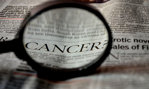 1 80291 original jpg jpeg