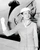4 grace monaco jpg jpeg