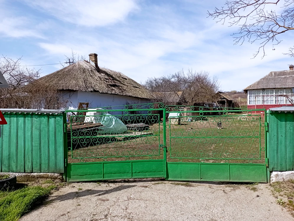 Casele acoperite cu stuf sunt o tradiție păstrată la Ibănești FOTO Cosmin Zamfirache