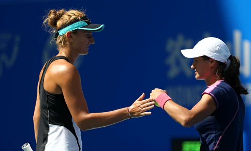 begu niculescu jpeg