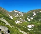 Lac glaciar în Munții Rodnei  Foto  Romsilva  Parcul Național Munții Rodnei   1 (5) jpg