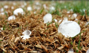 hailstone 1614239 1280 jpg