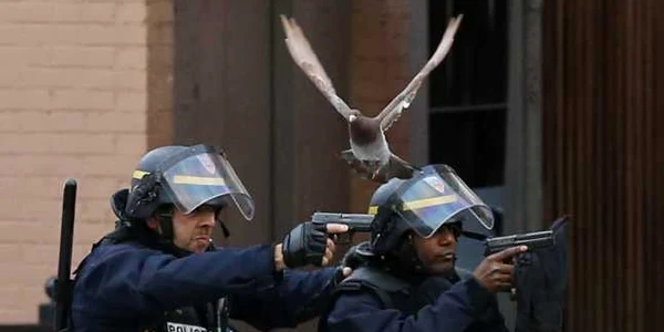 Operaţiune antiteroristă în suburbia Saint Denis din Paris FOTO AP