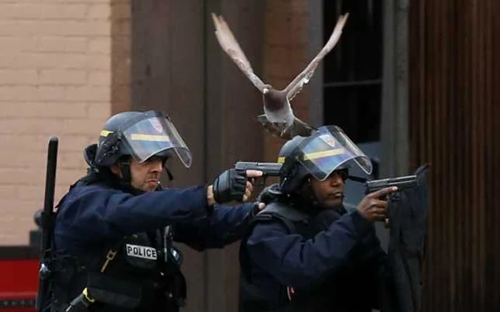 Operaţiune antiteroristă în suburbia Saint Denis din Paris  FOTO AP