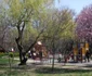 parcuri