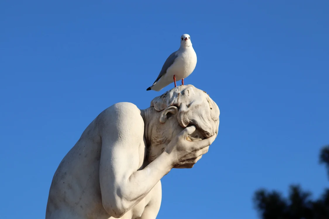 Horoscop zilnic 23 ianuarie 2020: Capricornii au idei neobişnuitefoto: Pixabay