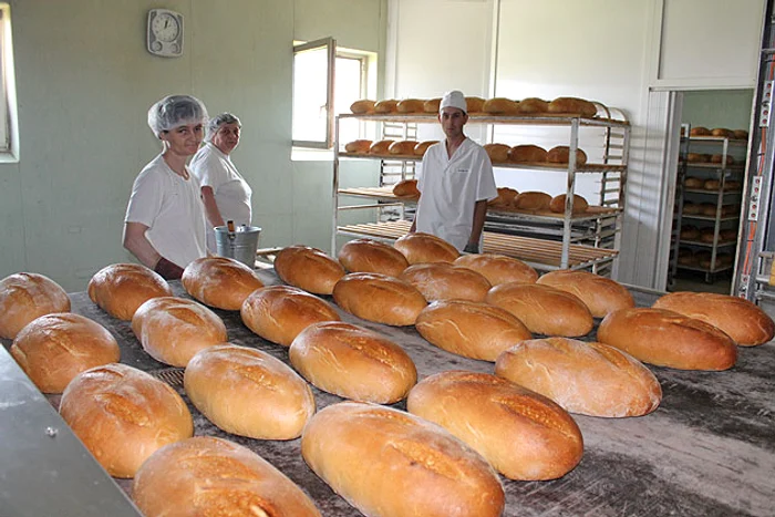 
    Producătorii au câștigat 43 de milioane de euro cu pâinea neagră  