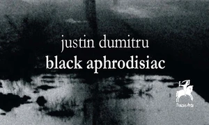 într o zi voi fi un om foarte fericit jpeg