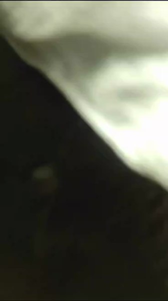 Probleme grave descoperite la un restaurant din Costinești. La ce riscuri se expun turiștii VIDEO