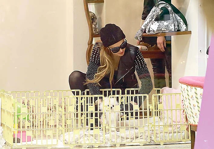 Are un pătuţ special pentru  căţeluşă