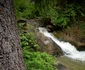 Cascada Zanelor din Covasna, foto planiada ro png
