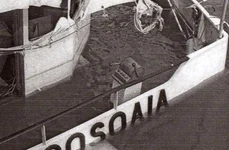 Cumplita poveste a celei mai mari tragedii navale de pe Dunăre scufundarea navei Mogoșoaia jpeg