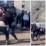 WhatsApp Image 2025 01 21 at 13 03 12 jpeg