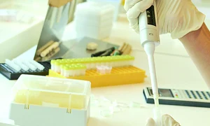 CLIIMA20100517 0133 1 jpeg