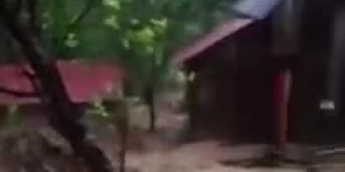 5cee1fc1445219c57e2fab96 jpg