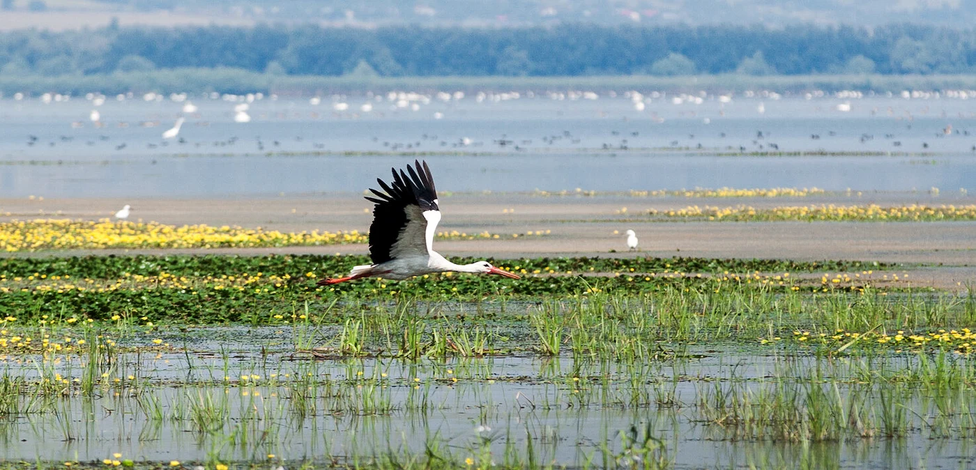 Sudul Moldovei. Sursa Molodova.travel