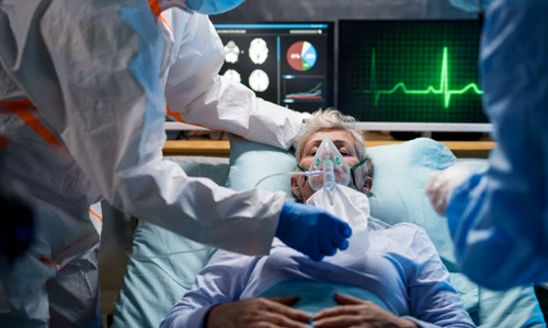 1 shutterstock 1661222104 jpg jpeg