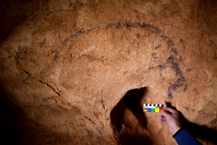 Picturi rupestre în Peștera Coliboaia. Foto: Andrei Posmoșanu