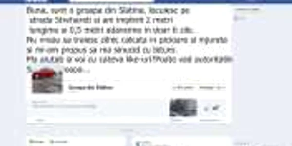 Groapa din Slatina cu cont pe Facebook a adunat aprecieri din partea majorității vizitatorilor 