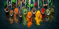 Condimente Foto shutterstock 1060609166 jpg