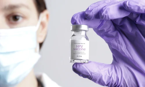 shutterstock 2106292844 jpg