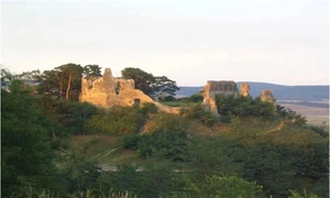 Cetatea Feldioara, înainte de restaurare (© A. Ioniță / Marcu-Istrate et al., Archaeological and Anthropological Sciences (2026); CC BY 4.0)