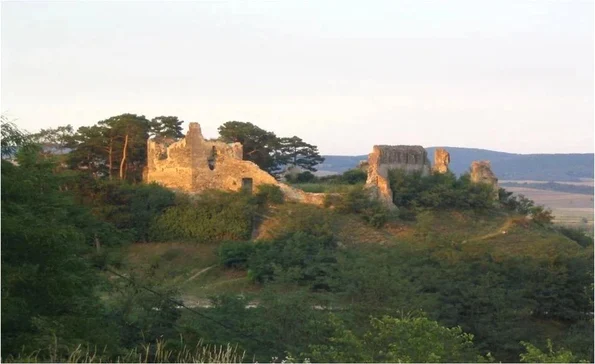 Cetatea Feldioara, înainte de restaurare (© A. Ioniță / Marcu-Istrate et al., Archaeological and Anthropological Sciences (2026); CC BY 4.0)