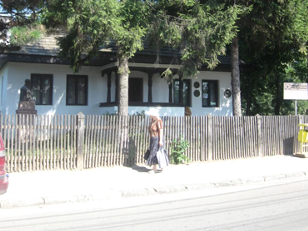 Botosani: Tezaurul din  muzeele judeţului, la mila hoţilor