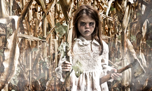 1 shutterstock 220726792 jpg jpeg