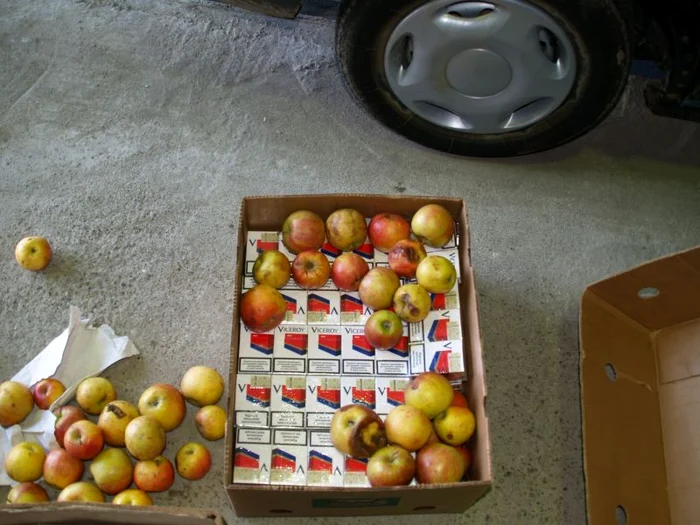 Ţigări de contrabandă dosite în lăzi cu mere