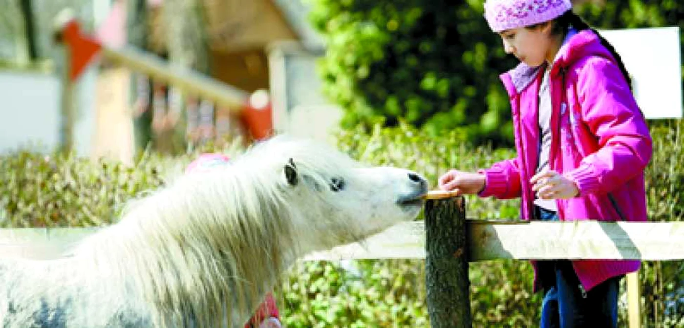 Hunedoara: REGIUNEA PE SCURT / Ghizi de-o şchioapă la Zoo