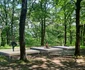 Amenajare pădure parc în Râmnicu Vâlcea Foto Primăria Râmnicu Vâlcea jpg