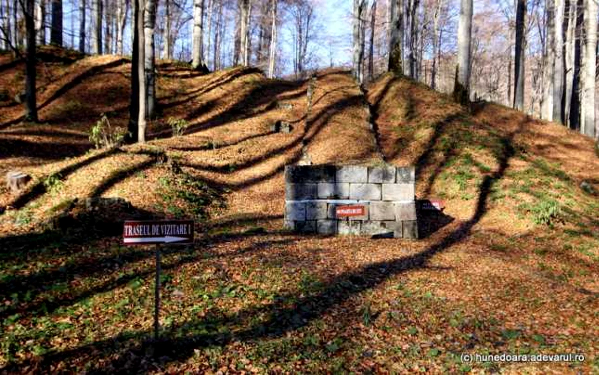 Sarmizegetusa Regia este înconjurată de pădure. FOTO: Daniel Guţă. ADEVĂRUL.