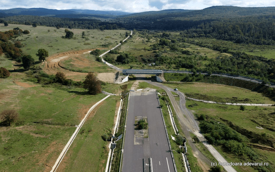 Autostrada cu tuneluri pentru urși. Locul unde vor fi construite ecoductele de peste doi kilometri VIDEO