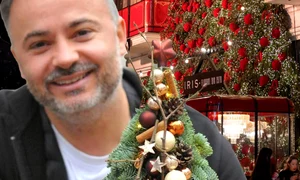 banner nicu Bocancea  jpg