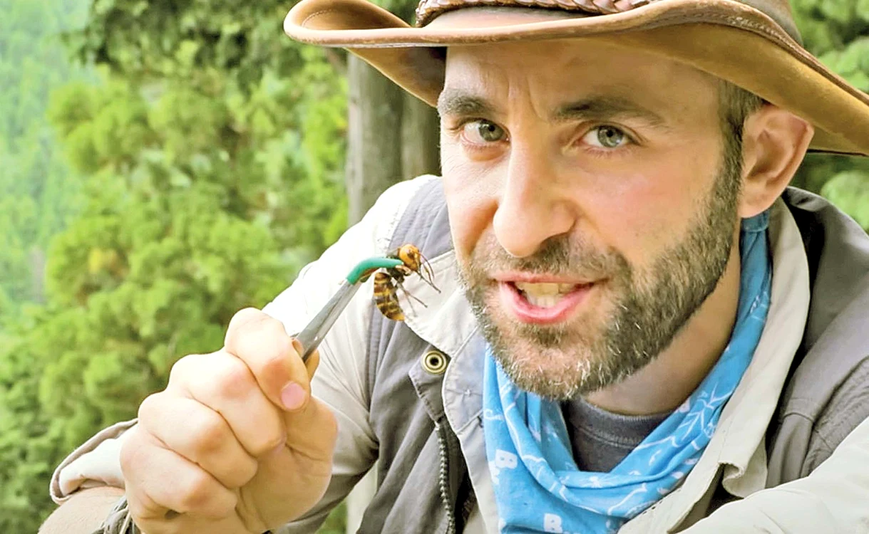 
    Coyote Peterson  a fost înţepat  inclusiv de o  viespe asiatică gigant  
