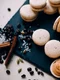 Macarons cu caramel sarat  Sursa foto shutterstock 422279164 jpg