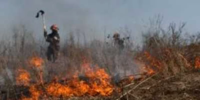 Târgu-Jiu: Terenul Primăriei Ţicleni a luat foc