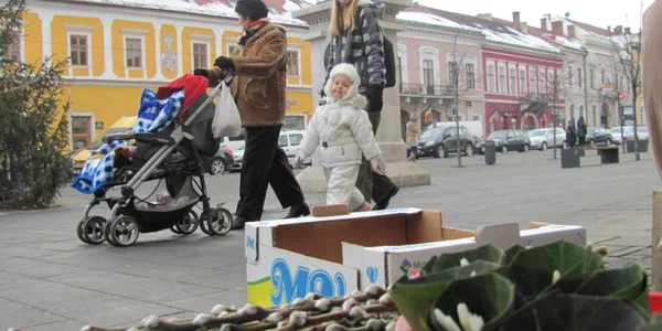 cluj