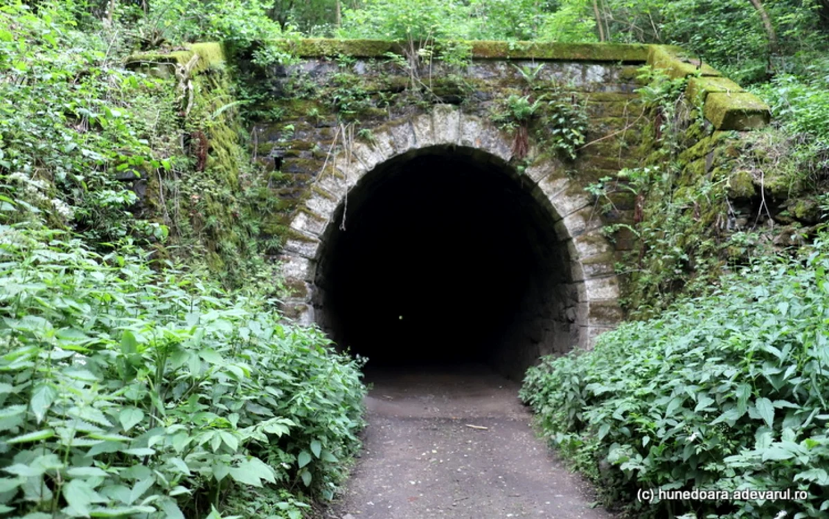 Tunelul mare de pe calea ferată Hunedoara - Ghelari. Foto: Daniel Guță