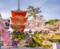 Japonia: Cel mai timpuriu vârf al sezonului florilor de cireș din ultimii 1 200 de ani | VIDEO jpeg