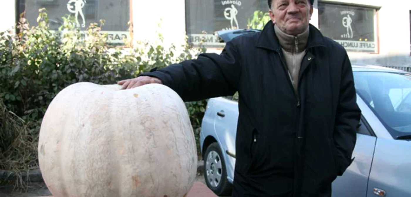 Constantin Grigoraş abia ţine leguma în braţe 