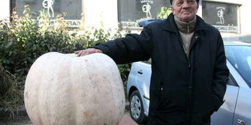 Constantin Grigoraş abia ţine leguma în braţe 