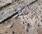 Cercetările arheologice din anul 2023 în situl eneolitic de la Sultana (foto: Facebook / Muzeul Municipiului București)