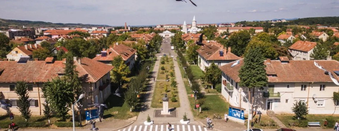 stei